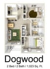 Dogwood