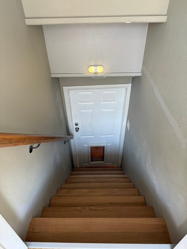 948 Poinsettia Dr