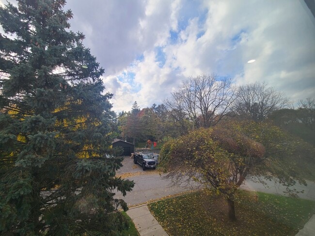 Photo - 207 Moore St