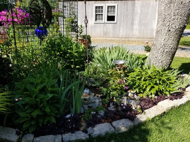 Photo - 63 Colebrook Rd