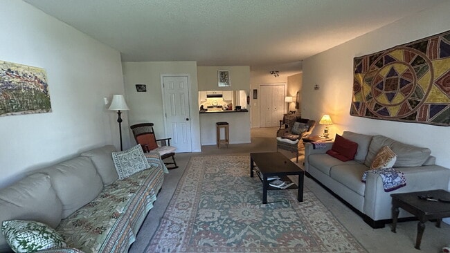 Photo - Fully Furnished 2BR/2BA Condo in Old Orcha... Unit 109