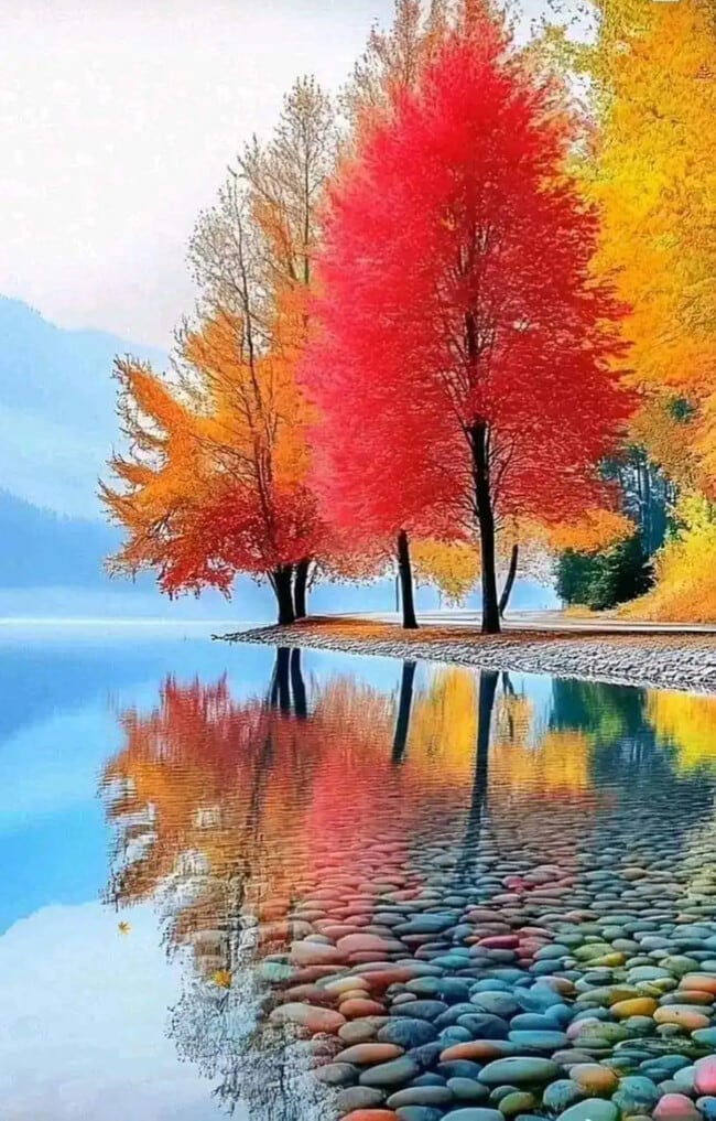 Building Photo - 31565 Fraser Dr Unit Fraser Condo Available