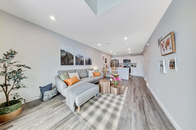 Photo - Sophia Towns