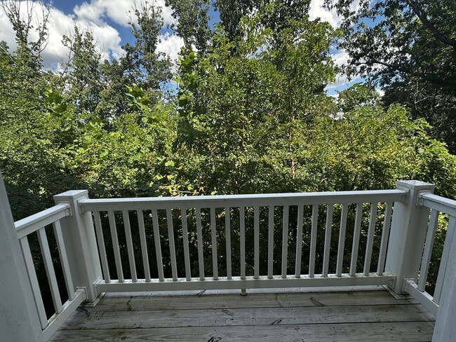 Photo - 31 Kimberley St