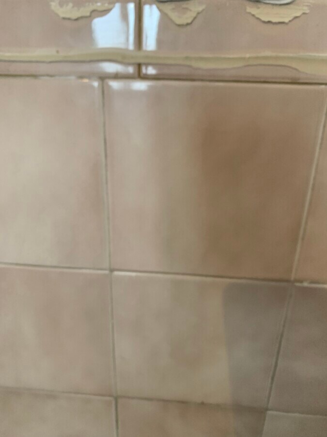 Photo - 39 Mount Vernon Ave Unidad Lower