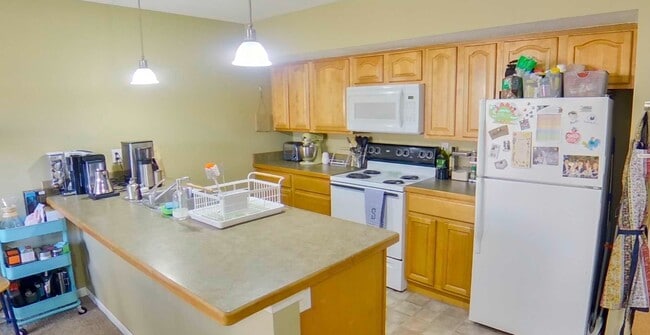 Building Photo - 3D Tour Available - One Block from KSU Campus + Pet Friendly + Privacy Patio + Washer & Dryer! Av...
