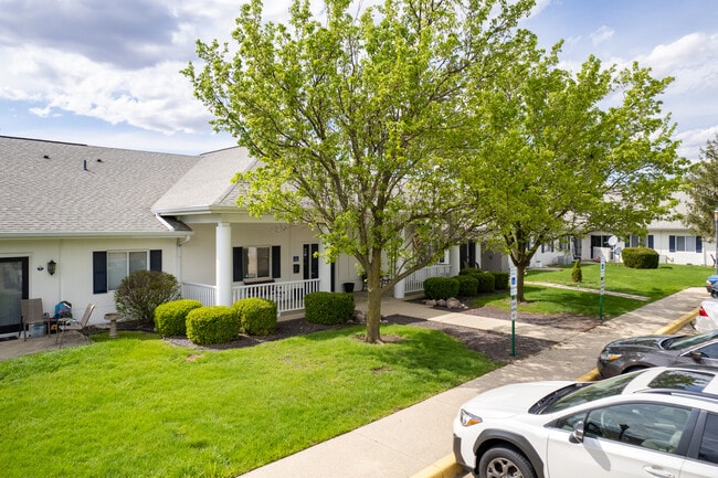 Meadow View Place
