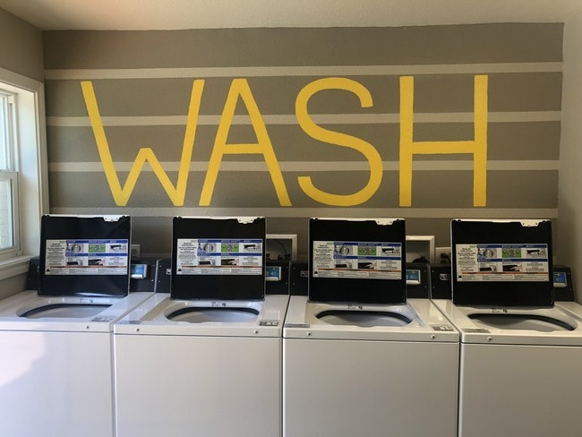 Photo - Lory of College Station