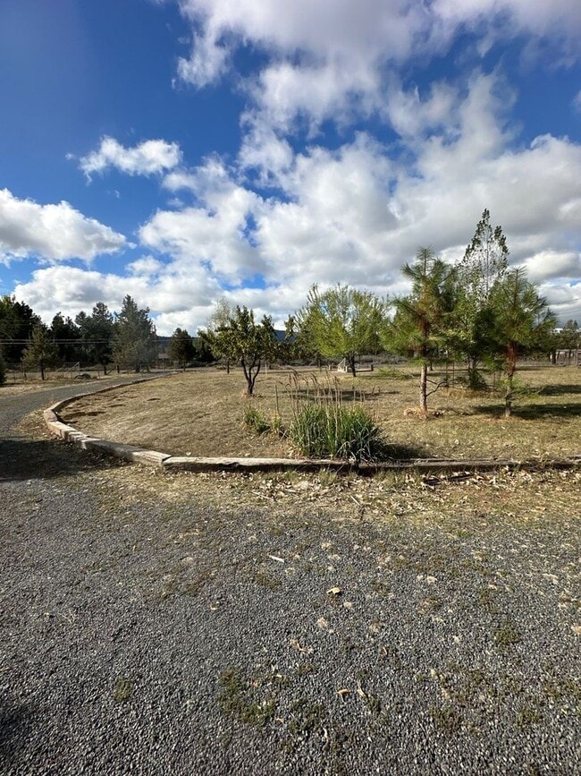 Photo - 15517 Riveredge Rd