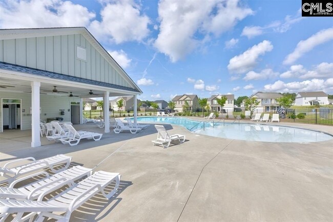 Photo - 22 Brazilian Dr