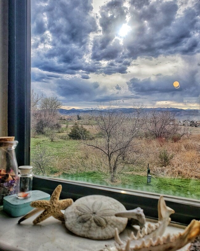 View from kitchen - 4945 Twin Lakes Rd Unit 4945 Twin Lakes #46
