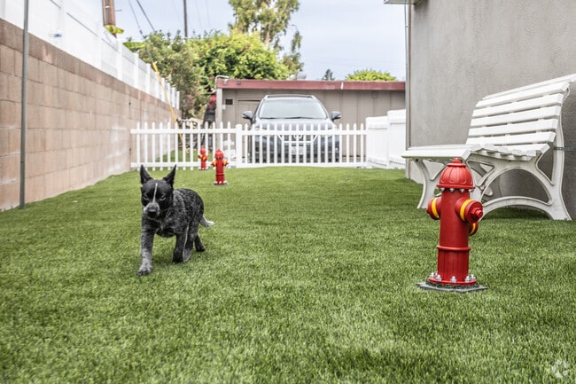 Dog Park