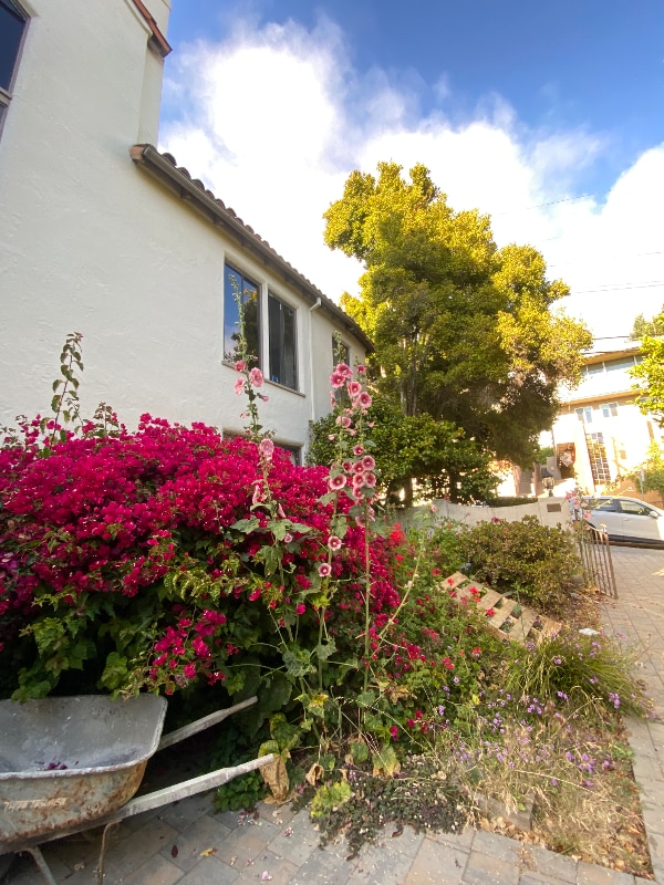 Photo - 1701 Le Roy Ave Unidad 6