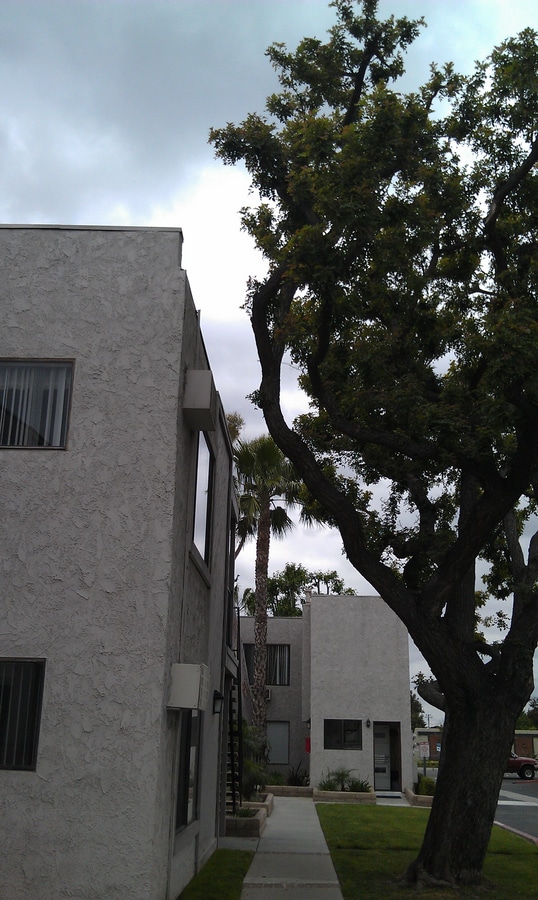 Photo - Woodhaven apartments