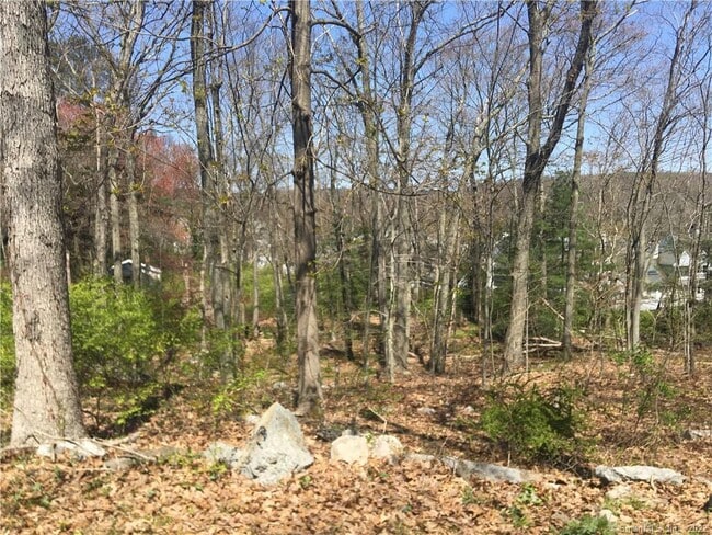 Photo - 22 Horseshoe Rd