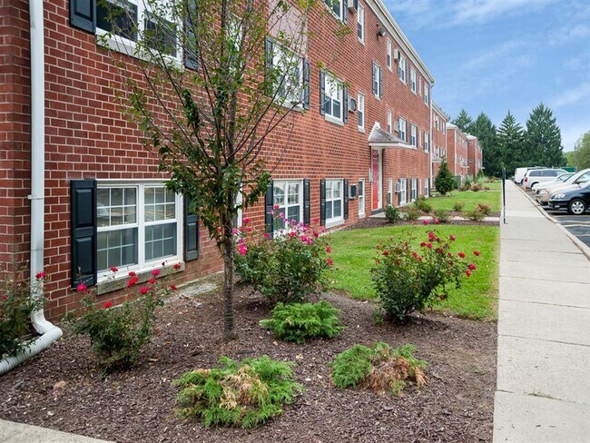Professional Landscaping Along Apartment Building Front