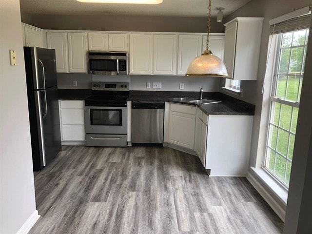 Photo - 9806 Coriander Ct