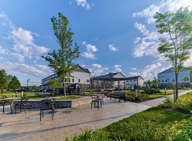 The Raye Phase 1