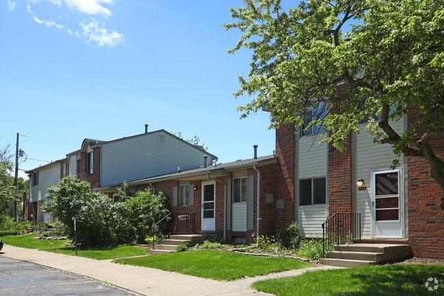 Photo - Autumn Woods