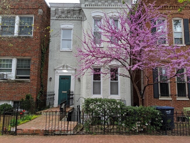 Front of House - 419 A St NE Townhome