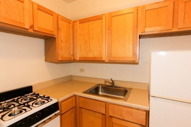 1023 N Dearborn St Unit 504