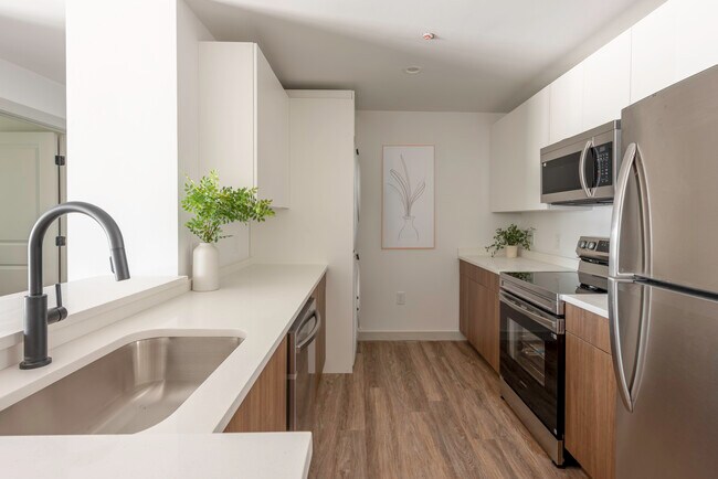 2 Bed 1 Bath - Kitchen