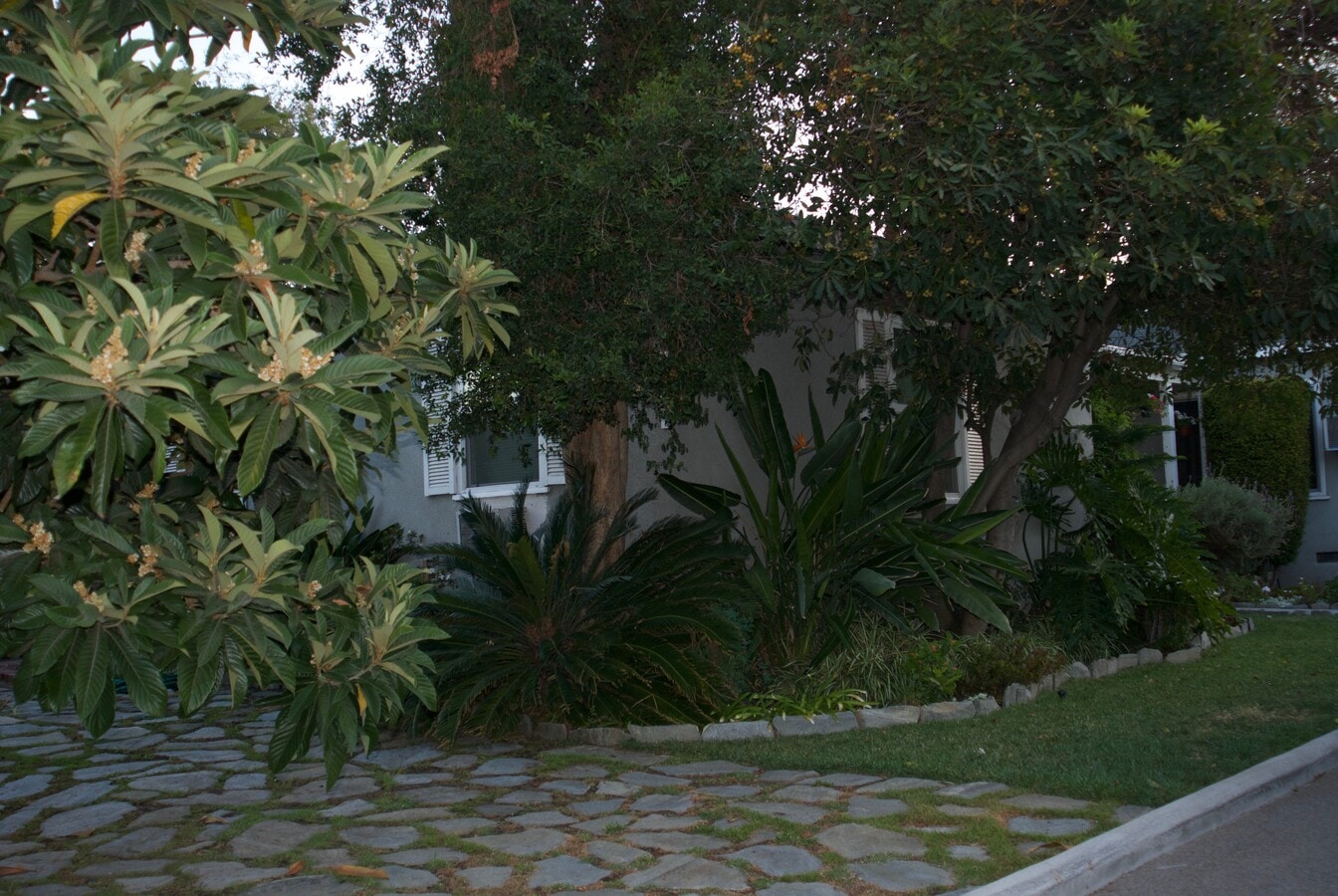 Outside - 4466 Tujunga Ave Unit 4464