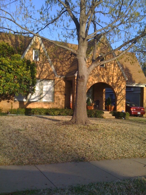 This is the main house. The Rear Apartment, For Rent, is directly behind. - 3229 Odessa Ave House