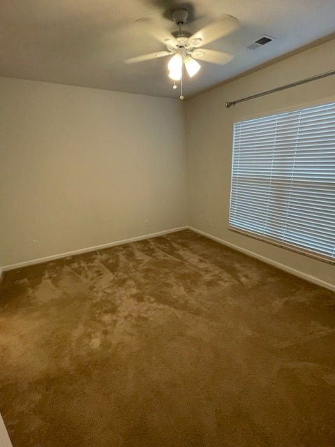 primary bedroom on lower level with ensuite bathroom - 252 Castle Dr