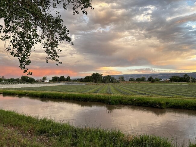 Photo - 911-924 24 Rd