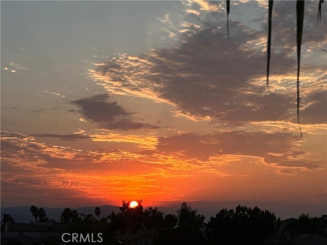 Building Photo - 31458 Inverness Ct