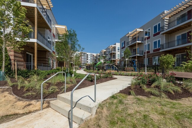 Photo - Allium Place