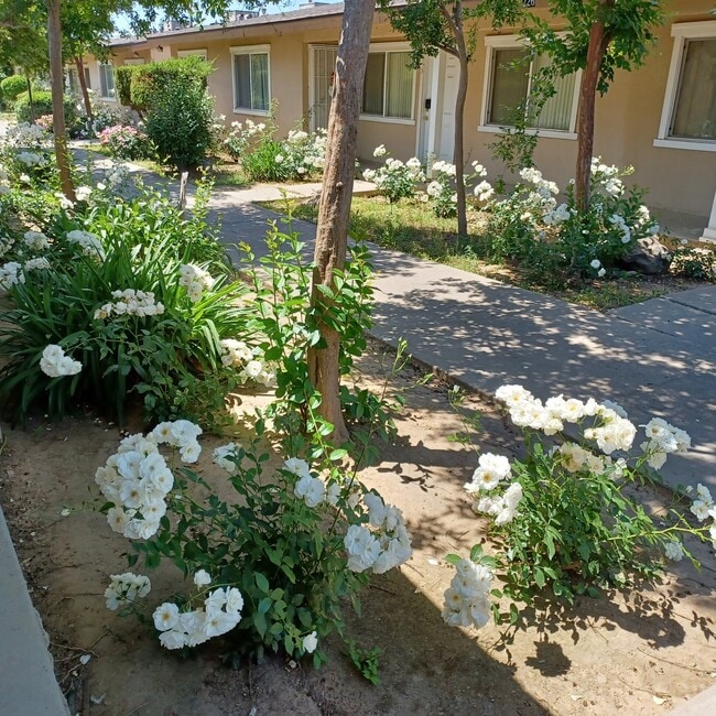 208 W Dakota Ave Unit 208-C