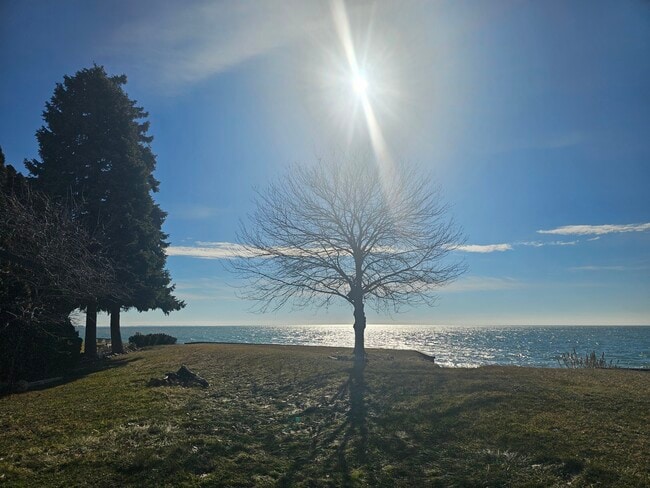 Photo - 37252 Jefferson Ave Unidad 1