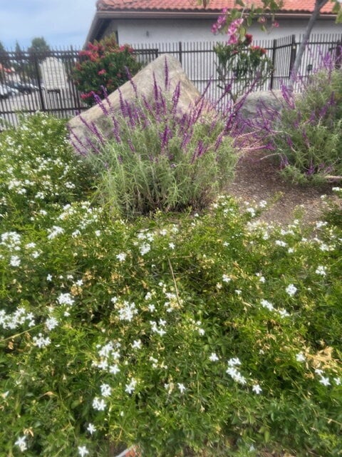 Photo - Great area near Central Santee Unit 8