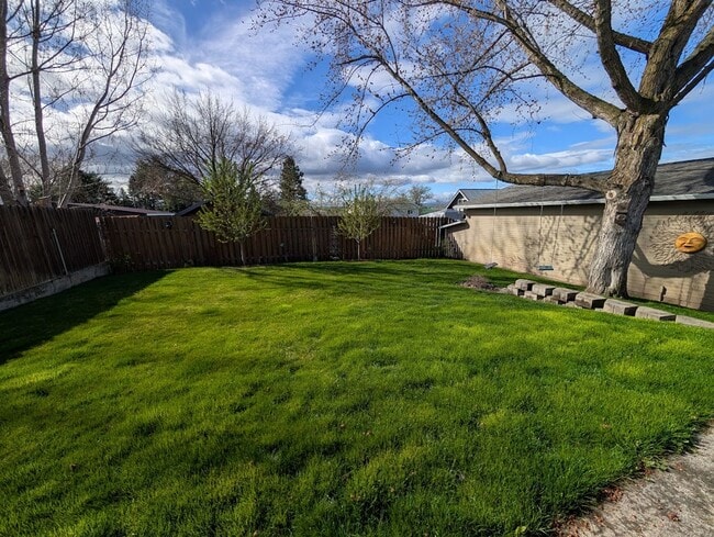 Photo - Huge Pet-Friendly Orchards House