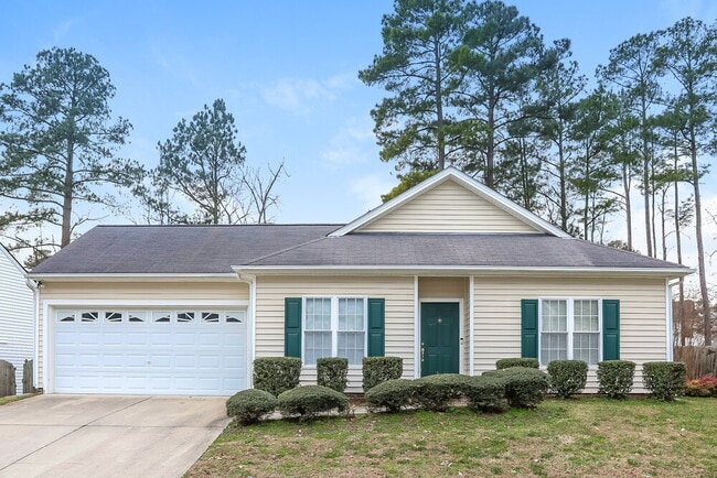 Building Photo - 8713 Neuse Town Dr