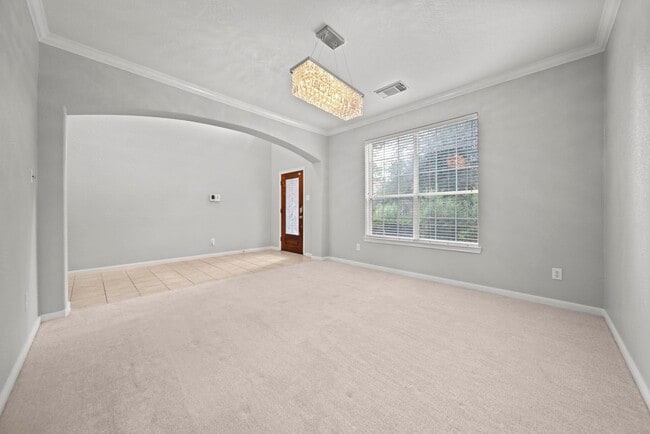 Photo - 42 Ebony Oaks Pl