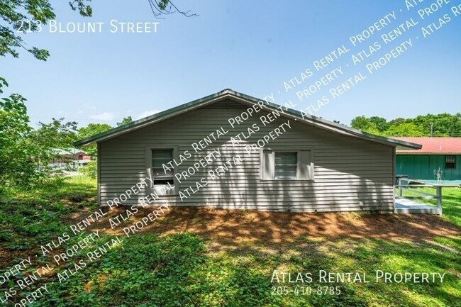 Photo - 213 Blount St