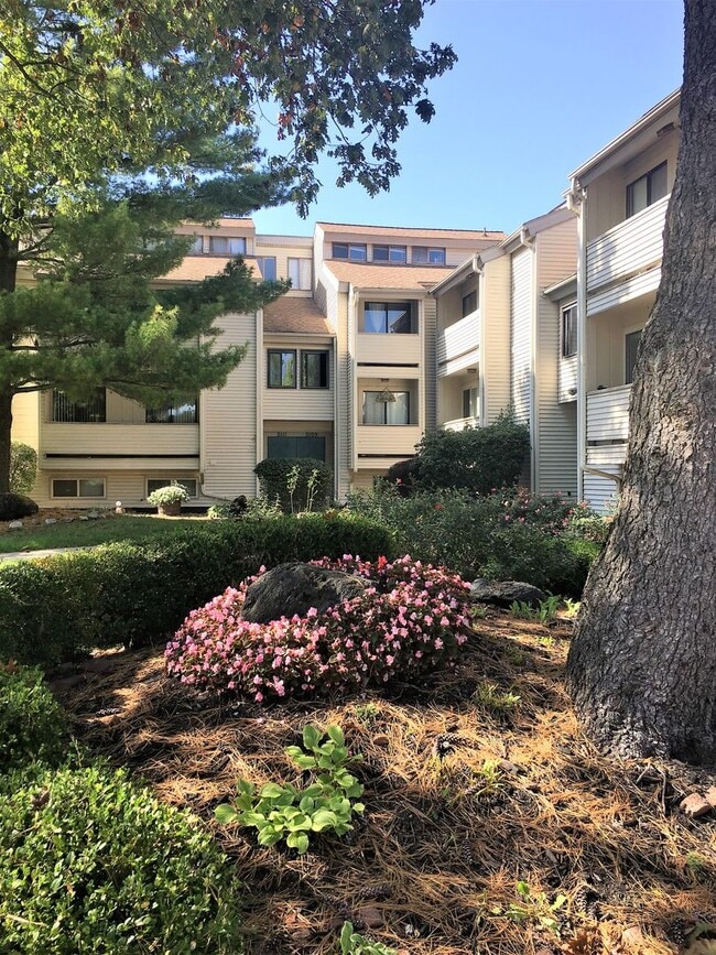 Photo - Remodeled condo available for July!