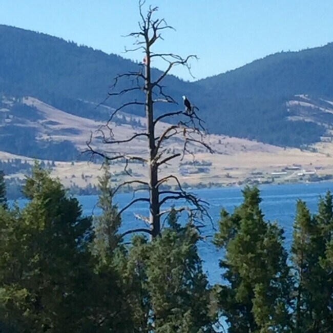 Photo - Lake Front Property with Orchard--Desire l...