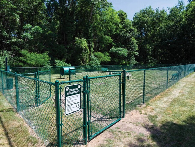 Parque para perros con cerca