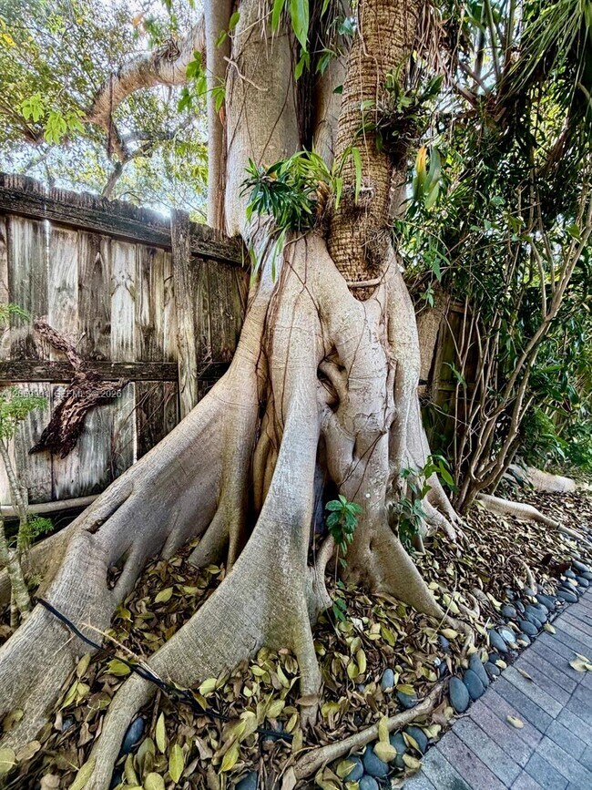 Photo - 2844 Coconut Ave Unidad A