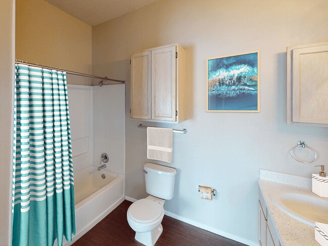 Large Full Bathroom with Storage Space
