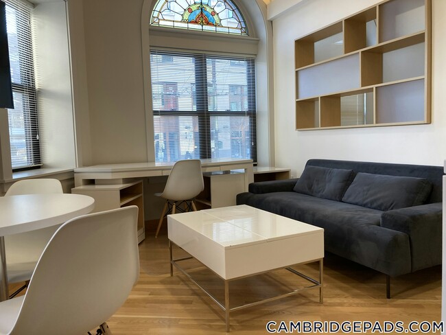 Photo - 115 Mt Auburn St Unidad 15