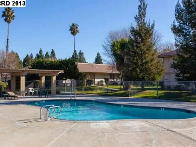 Pool area - 4260 Clayton Rd Unit 18 Rental
