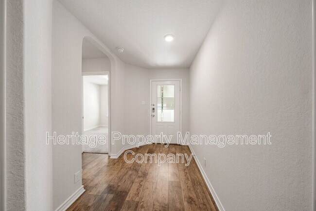 Photo - 15119 Longtailed Duck