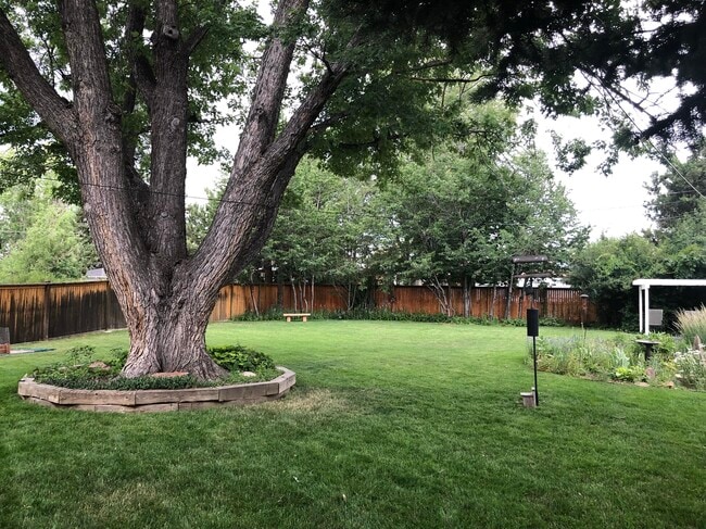 Huge backyard - 2631 S Zurich Ct