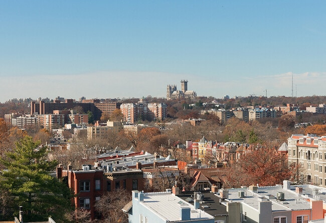 Rooftop deck with grills view