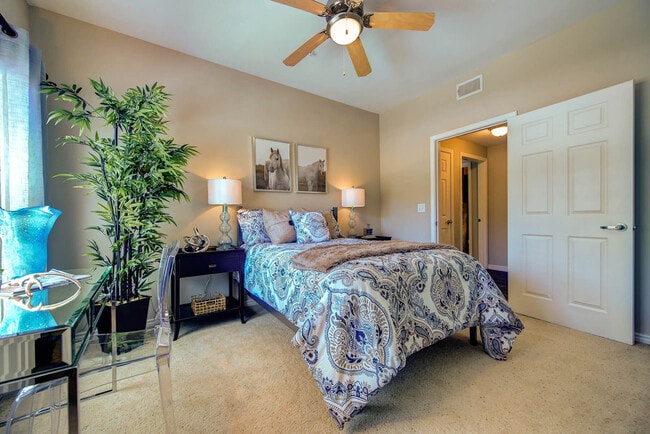 Callista Hill Country Apartments